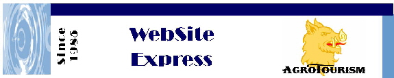 WebSite Express 4